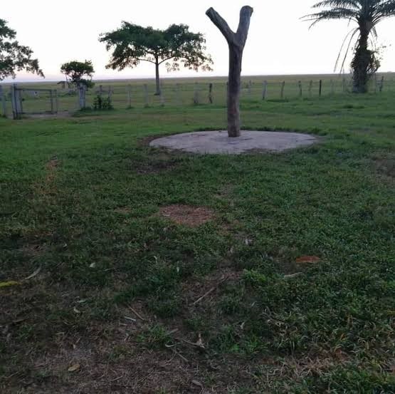 El Botalón de Madera