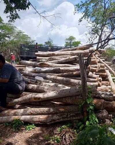 Madera de Vera